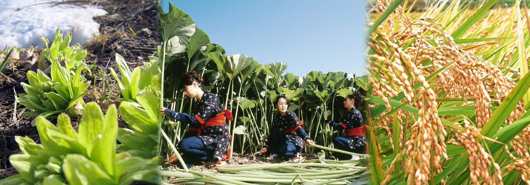 秋田県栄養士会